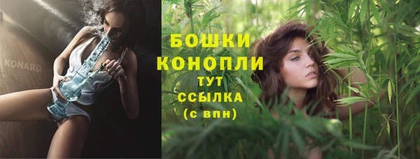 спайс Вяземский