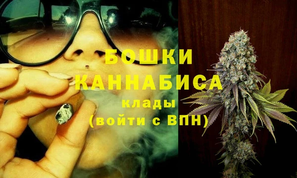ПСИЛОЦИБИНОВЫЕ ГРИБЫ Вязьма