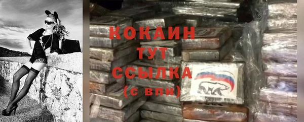 ПСИЛОЦИБИНОВЫЕ ГРИБЫ Вязьма