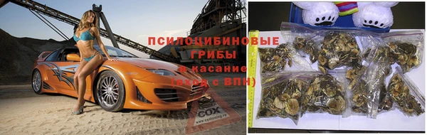 спайс Вяземский