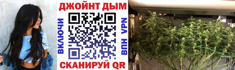 Купить  Анжеро-Судженск  МАРИХУАНА планчик 